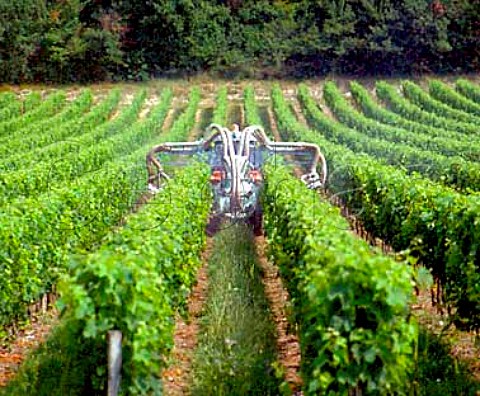 Spraying in vineyard of Chteau de Barbe   Villeneuve Gironde France     Ctes de Bourg  Bordeaux