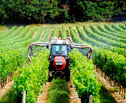 Spraying in vineyard of Chteau de Barbe   Villeneuve Gironde France     Ctes de Bourg  Bordeaux