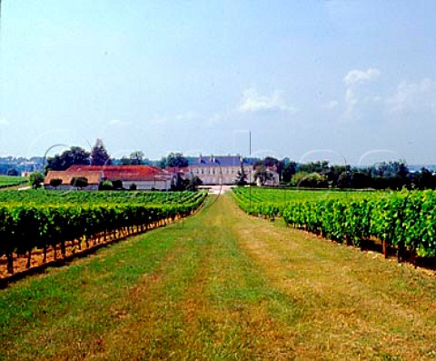 Chteau de Barbe Villeneuve Gironde France     Ctes de Bourg  Bordeaux