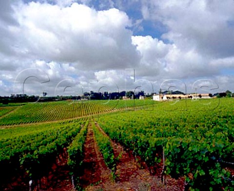 Chteau Moulin HautLaroque Saillans Gironde   France Fronsac  Bordeaux