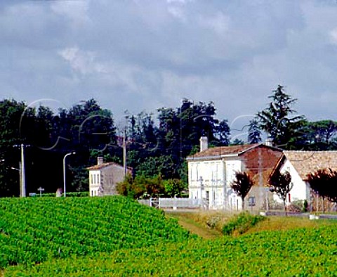 Chteau Moulin HautLaroque Saillans Gironde   France Fronsac  Bordeaux