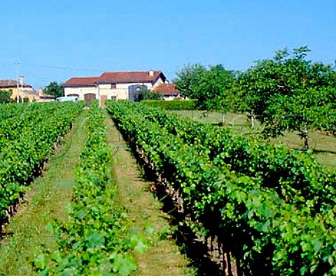 Chteau La ClarireLaithwaite SteColombe   Gironde France Ctes de Castillon  Bordeaux