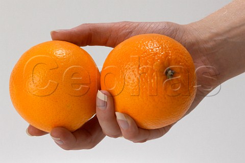 Womans hand holding two oranges