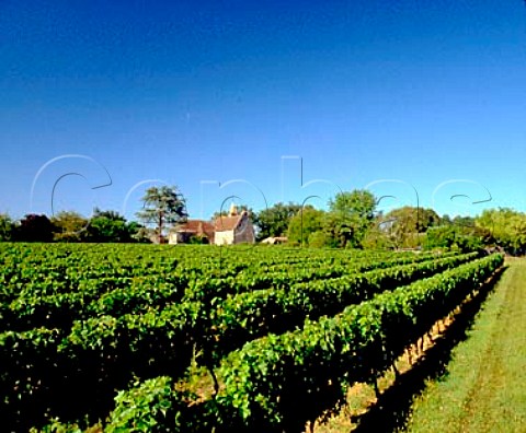 Chteau Puygueraud and its vineyards Francs   Gironde France Ctes de Francs  Bordeaux