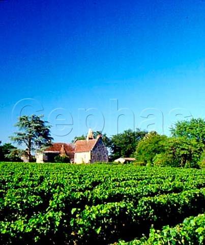 Chteau Puygueraud and its vineyards Francs   Gironde France Ctes de Francs  Bordeaux