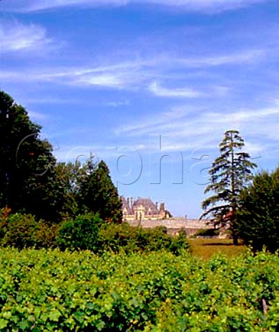 Vineyards of Chteau de Montaigne   StMicheldeMontaigne Dordogne France   Ctes de Montravel  Bergerac