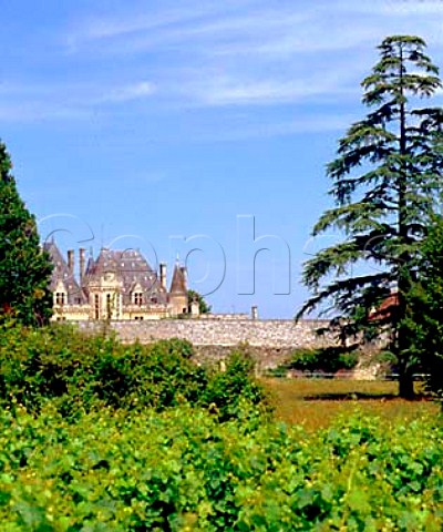 Vineyards of Chteau de Montaigne   StMicheldeMontaigne Dordogne France   Ctes de Montravel