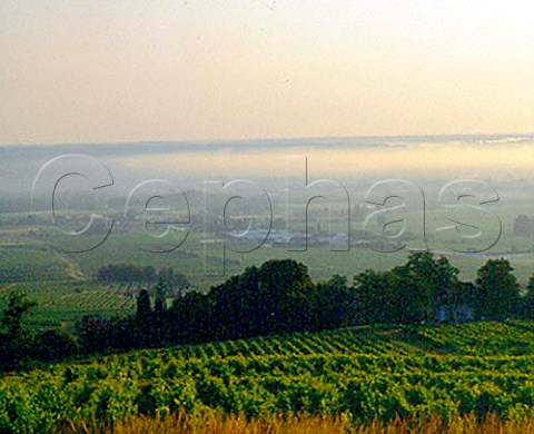 Early morning mist over vineyards near Bergerac    Dordogne France  Monbazillac  Bergerac