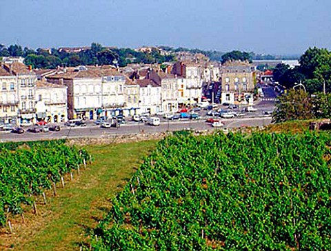 Vineyard on the Citadelle ramparts Blaye Gironde   France  Premires Ctes de Blaye