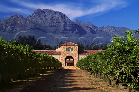 Waterford Winery and vineyard   Stellenbosch South Africa