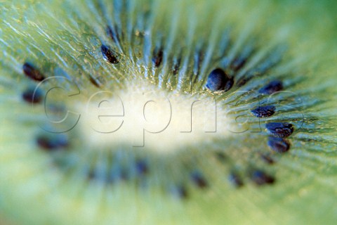 Inside of Kiwi fruit