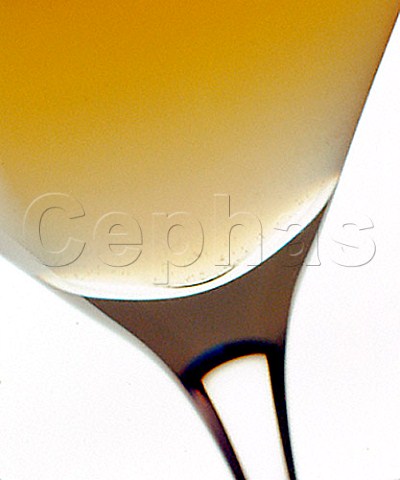 Cocktail Margarita Glass Martini