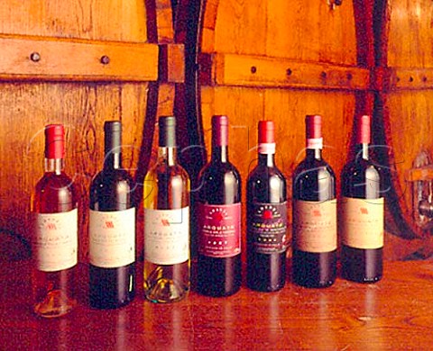 Bottles of wine in the cellars of Fratelli Adanti   Bevagna near Montefalco Umbria Italy