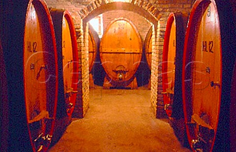 Barrels in the cellars of   Fratelli Adanti Bevagna Umbria Italy   Montefalco