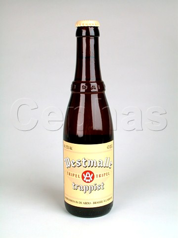Bottle of Westmalle trappist tripel beer Malle   Belgium
