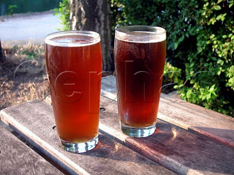 Two pints of beer in a pub beer garden Surrey   England