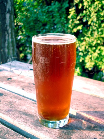Pint glass of beer in pub beer garden Surrey   England