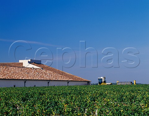Tractor taking crates of harvested grapes to the winery of Chteau MoutonRothschild Pauillac Gironde France  Mdoc  Bordeaux