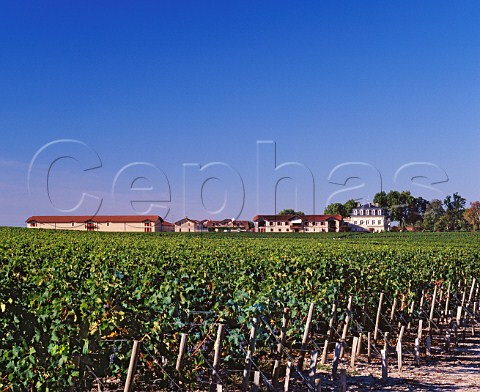 Chteau PontetCanet and chai viewed over its vineyard Pauillac Gironde France    Mdoc  Bordeaux
