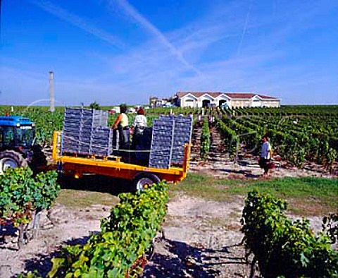 Harvesting grapes in vineyard at Chteau Rieussec    Sauternes Gironde France   Sauternes  Bordeaux