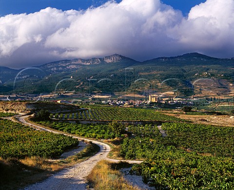 Road through the vineyards at Samaniego with the   Sierra de Cantabria in the distance   Alava Spain    Rioja Alavesa