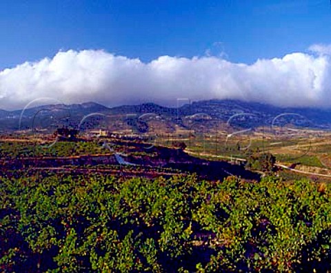 Samaniego viewed over vineyards with the   Sierra de Cantabria in the distance      Alava Spain  Rioja Alavesa