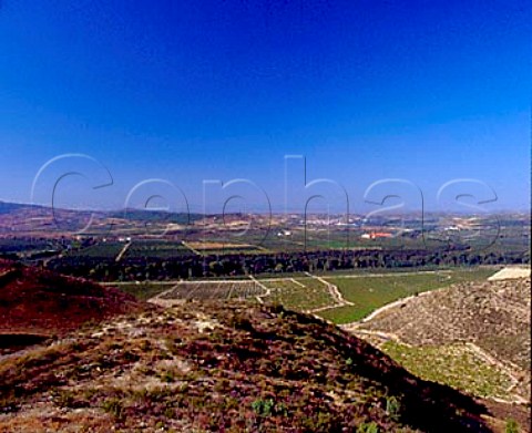 Finca Valpiedra of Martinez Bujanda in a bend of the treelined Rio Ebro with the town of Cenicero beyond  Here the river is the border between Rioja Alta far and Rioja Alavesa near Spain