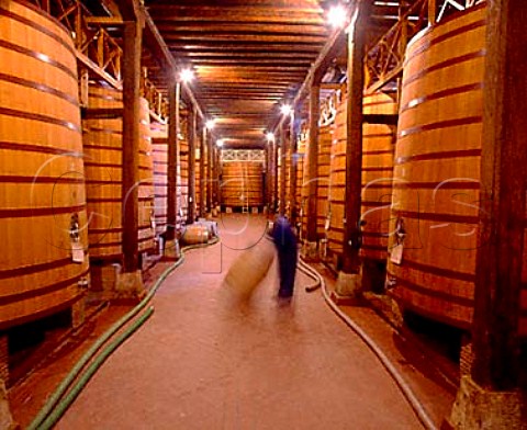 Rolling a barrel through bodega of CVNE   Haro La Rioja Spain   Rioja