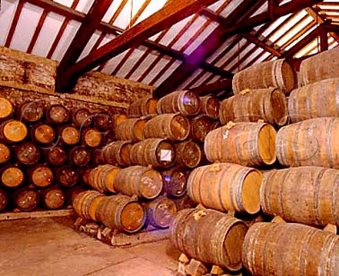 Barrels in old bodega of CVNE   Haro La Rioja Spain   Rioja