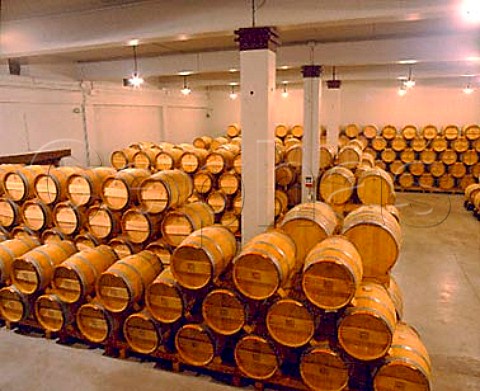 Barrel cellar of Fernando Remrez de Ganuza   Samaniego Alava Spain   Rioja Alavesa