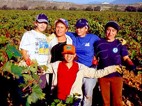 Grape pickers at Finca Valpiedra of   Martinez Bujanda Cenicero La Rioja Spain  Rioja Alta