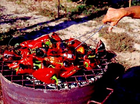 Roasting red peppers over a barbecue   Cenicero La Rioja Spain