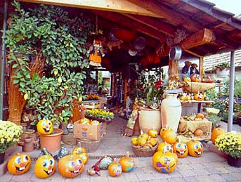 Autumnal display of pumpkins outside a small shop  Friedelsheim Pfalz Germany