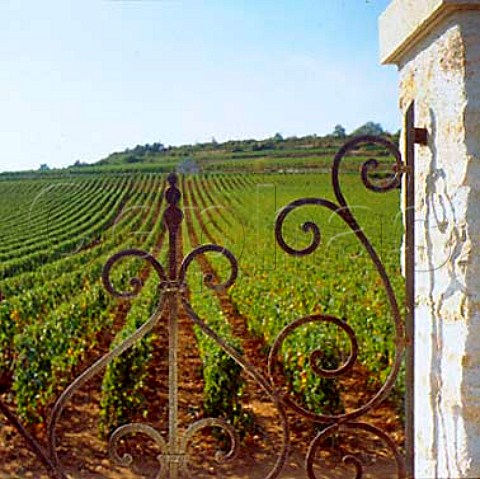 Entrance gate of Bouchard Pre et Fils in   Le Montrachet vineyard PulignyMontrachet   Cte dOr France