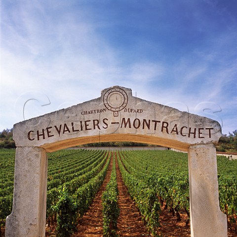 Entrance to ChevaliersMontrachet vineyard of  Domaine Jean Chartron PulignyMontrachet   Cte dOr France