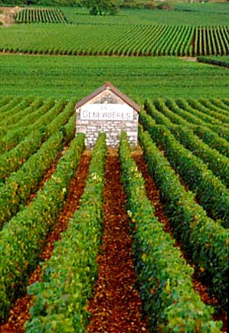 Stone building in Les Genevrires   vineyard Meursault Cte dOr France   Cte de Beaune