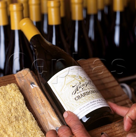 Applying label to bottle of Hanzell Chardonnay    Sonoma California