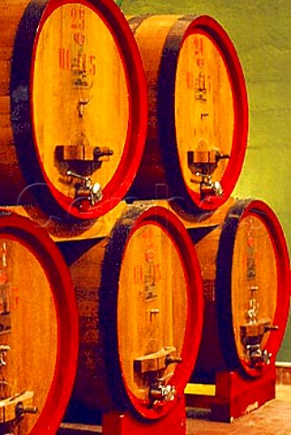 Barrel cellar of Antonelli   Montefalco Umbria Italy