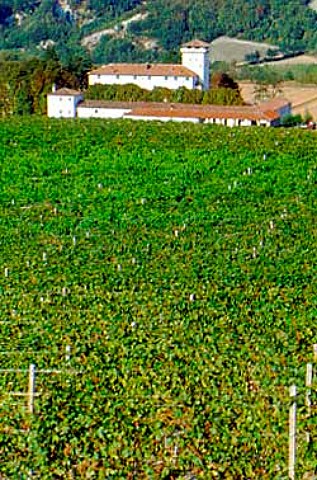 La Centuriona winery viewed over its   vineyard Gavi Piemonte Italy