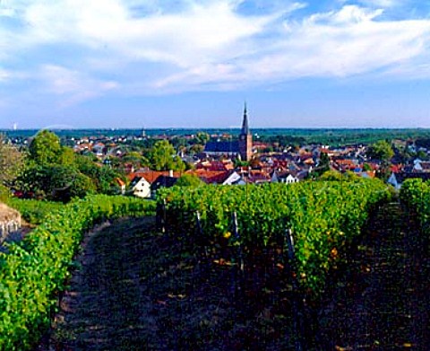 Freundstck einzellage and Forst village Pfalz   Germany