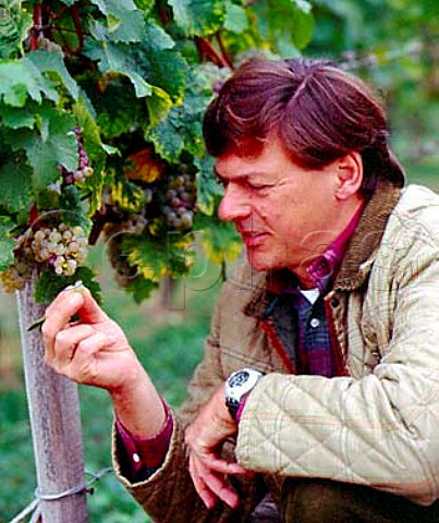 Christian von Guradze winemaker at Weingut Dr BrklinWolf inspecting Riesling grapes  in Rechbchel Einzellage Wachenheim Pfalz Germany