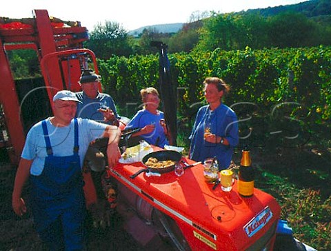 Pickers having lunch during harvest in   Herrgottsacker vineyard Deidesheim Pfalz Germany