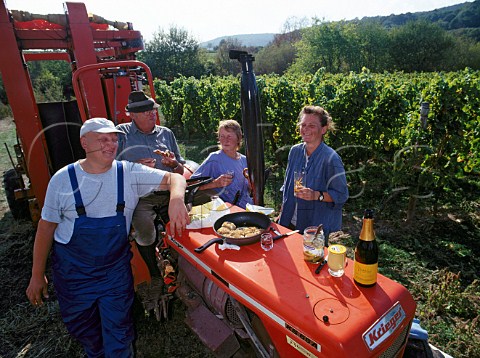 Workers taking a lunch break during harvest in   Herrgottsacker einzellage Deidesheim Pfalz   Germany