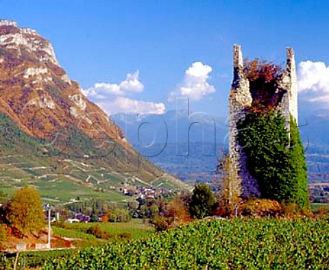 One of the Tours de Chignin amidst the vineyards   of Chignin Savoie France