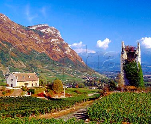 One of the Tours de Chignin amidst the vineyards   of Chignin Savoie France