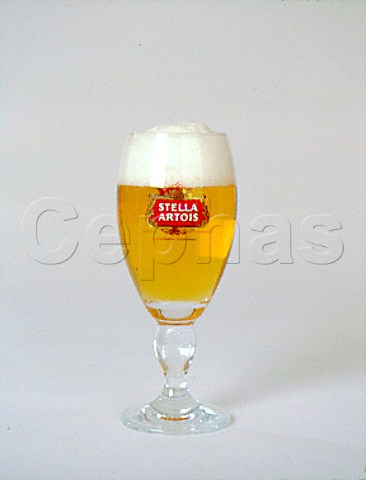 Glass of Stella Artois lager Leuven Belgium