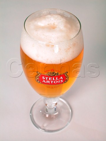 Glass of Stella Artois lager Leuven Belgium