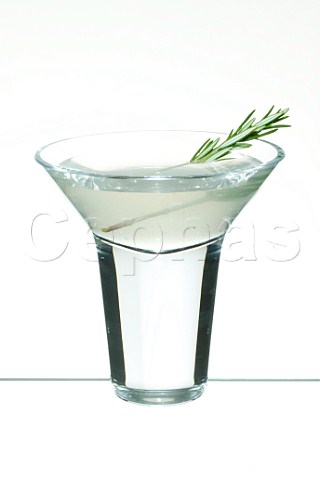 Cocktail English Martini   Glass Martini