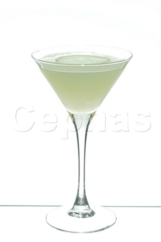 Cocktail Gin Garden Martini    Glass Martini