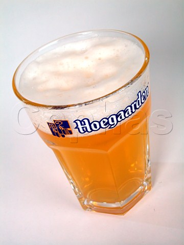 Glass of Hoegaarden white beer  Belgium